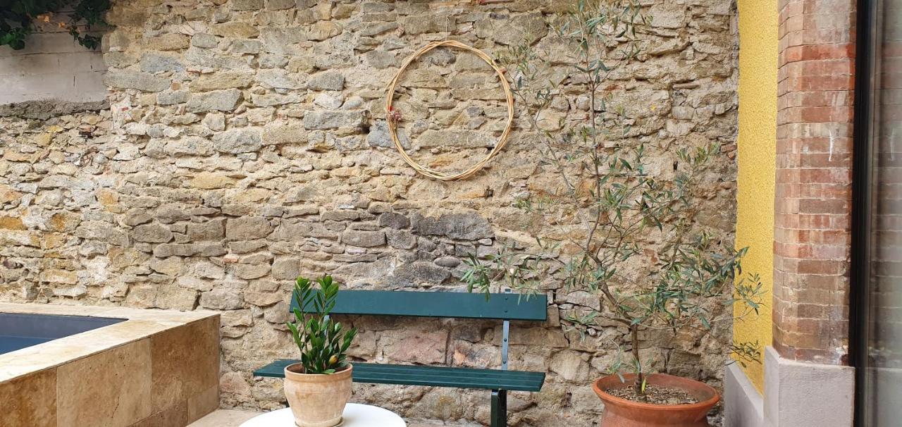 L'Ecole Buissonniere ! Βίλα Καρκασόν Εξωτερικό φωτογραφία