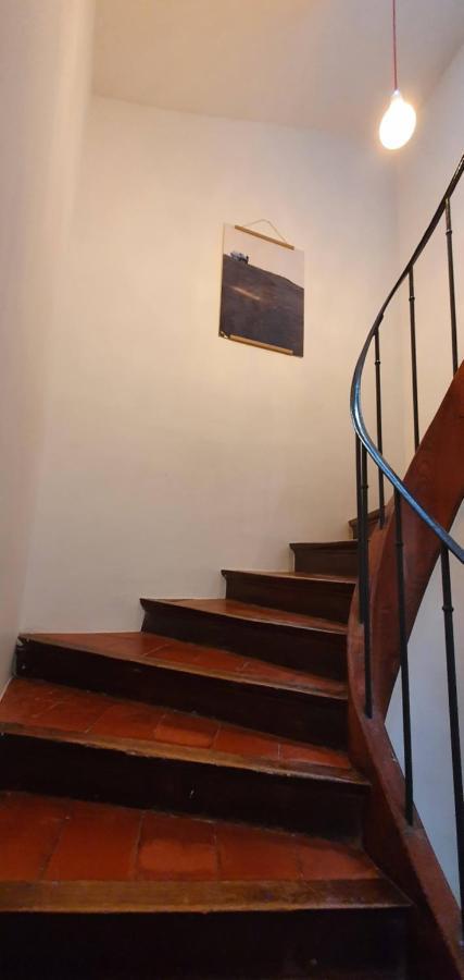 L'Ecole Buissonniere ! Βίλα Καρκασόν Εξωτερικό φωτογραφία